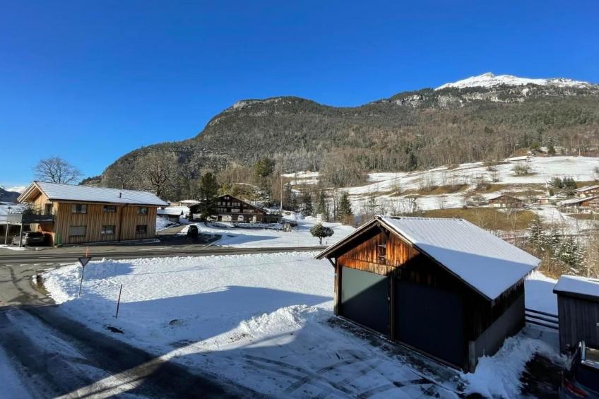 Alpine Home Streich - foto 7