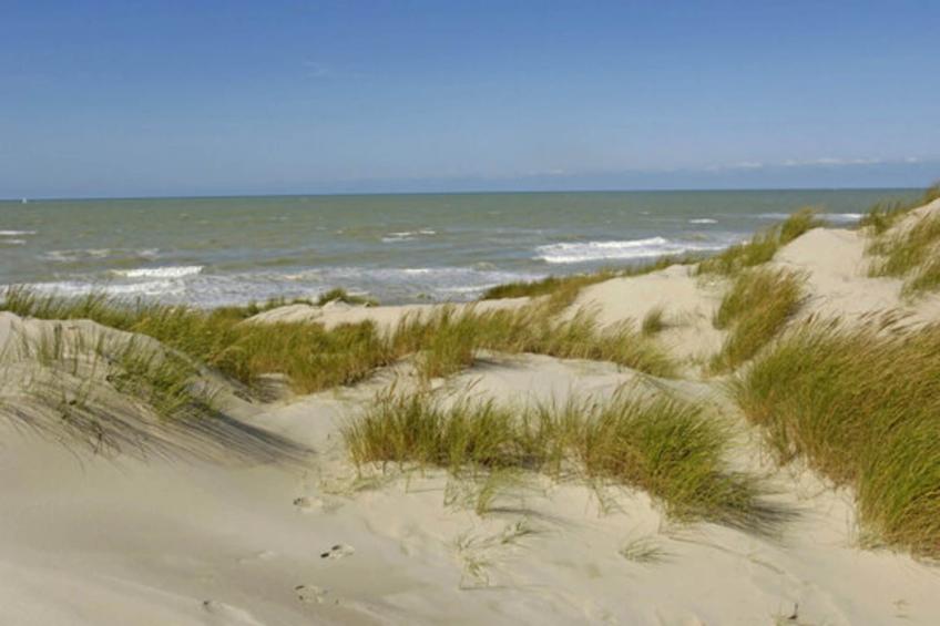 Beach Lodge Groot - foto 13