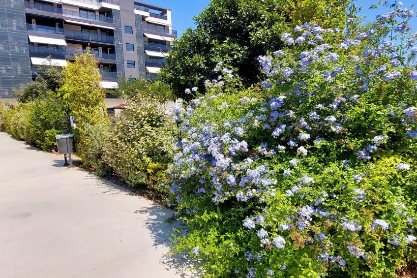 Casa La Galatea - foto 32