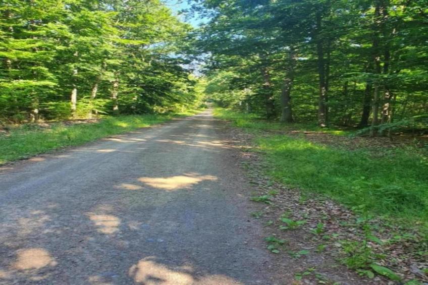 Obermühle - foto 30