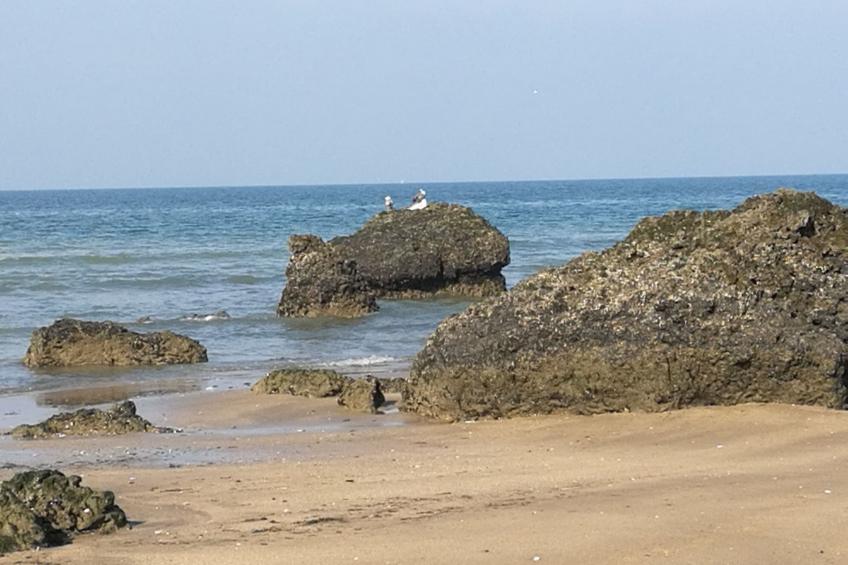 Fachwerkhaus "La Longère" Escapade Normande - foto 46