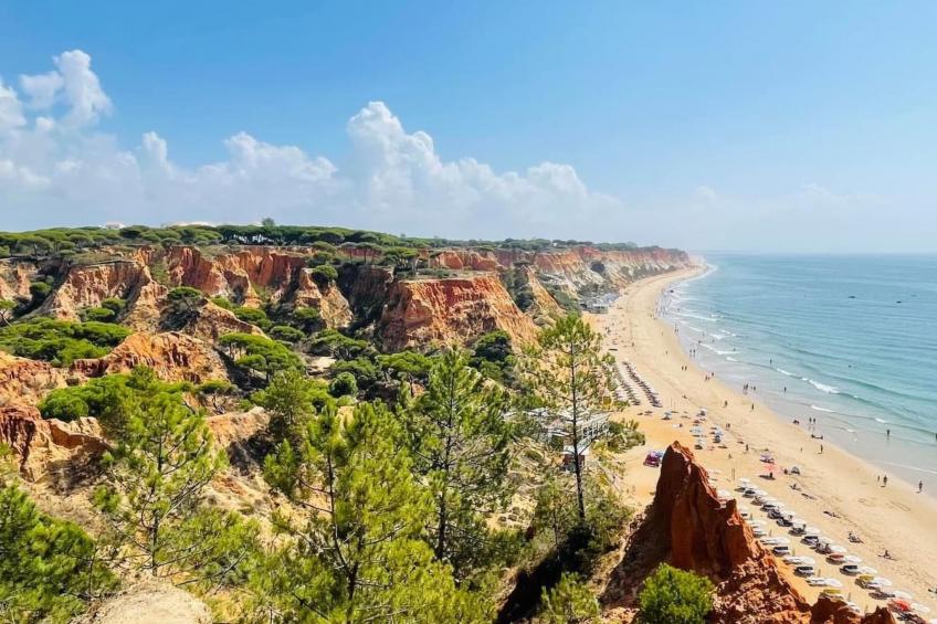 "Casa da Horta 2" mit Wi-Fi - foto 22