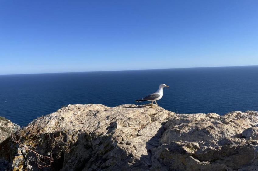 Finca Caballo Verde - foto 38