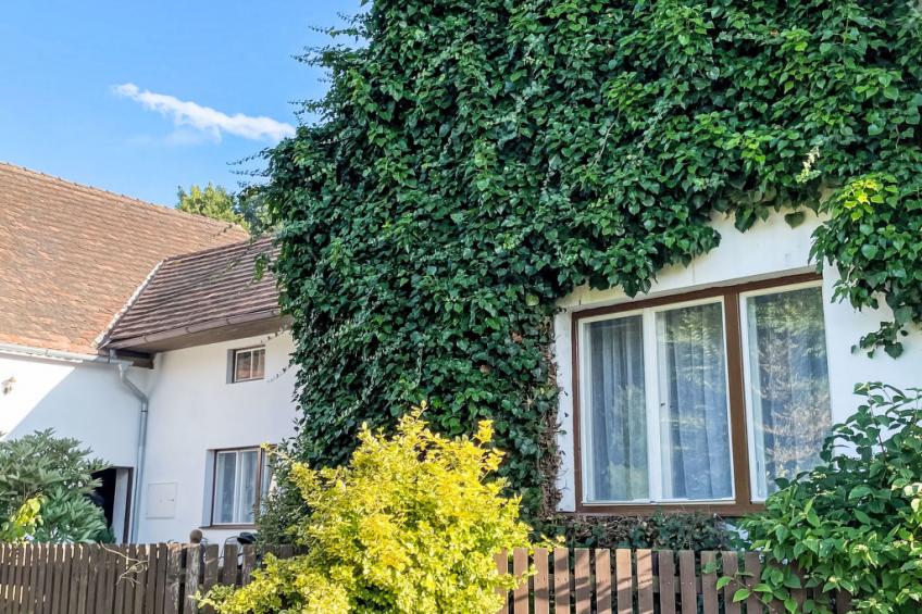 Forrest Haven Vodice - foto 2