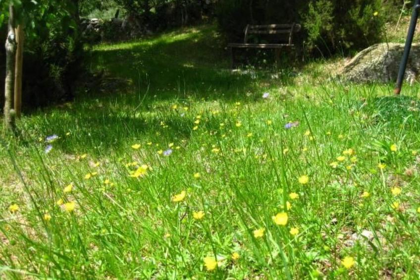 Apartamento 'A Solaina' mit Terrasse - foto 15