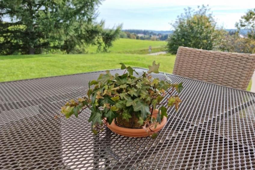 Luxus-Appartement in Kappel - foto 26