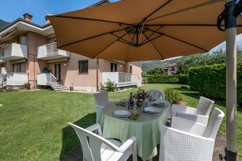 The Olive Tree Garden With Mountain View
