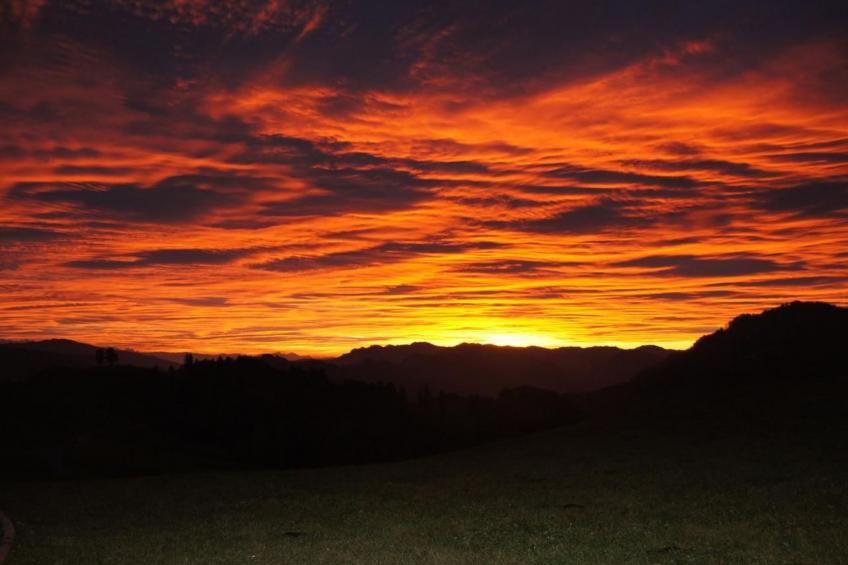 Alpakahof Ferien - foto 35