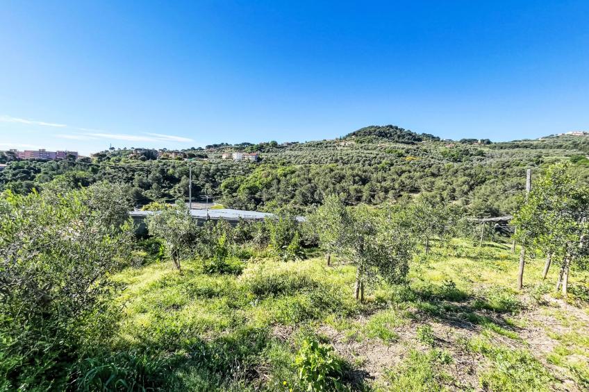 Casa Lulú - foto 50