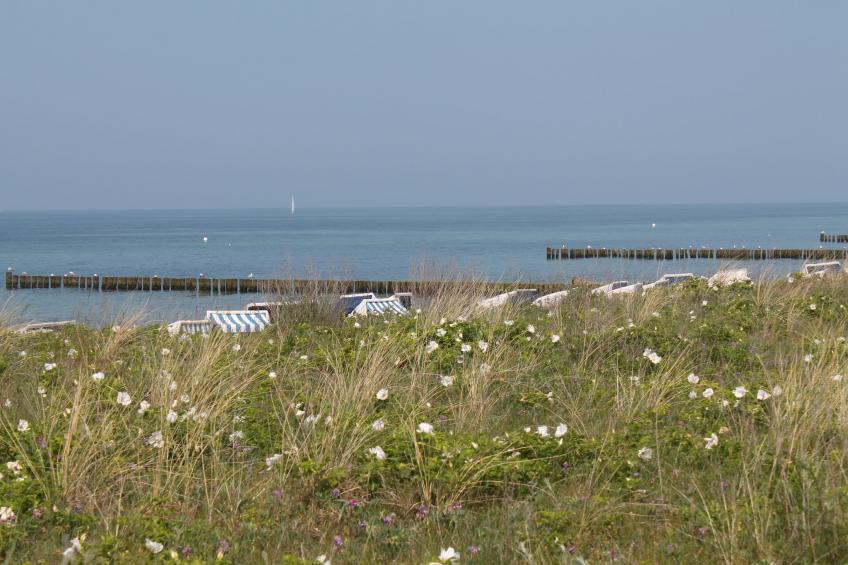 Kühlungsblick - foto 35
