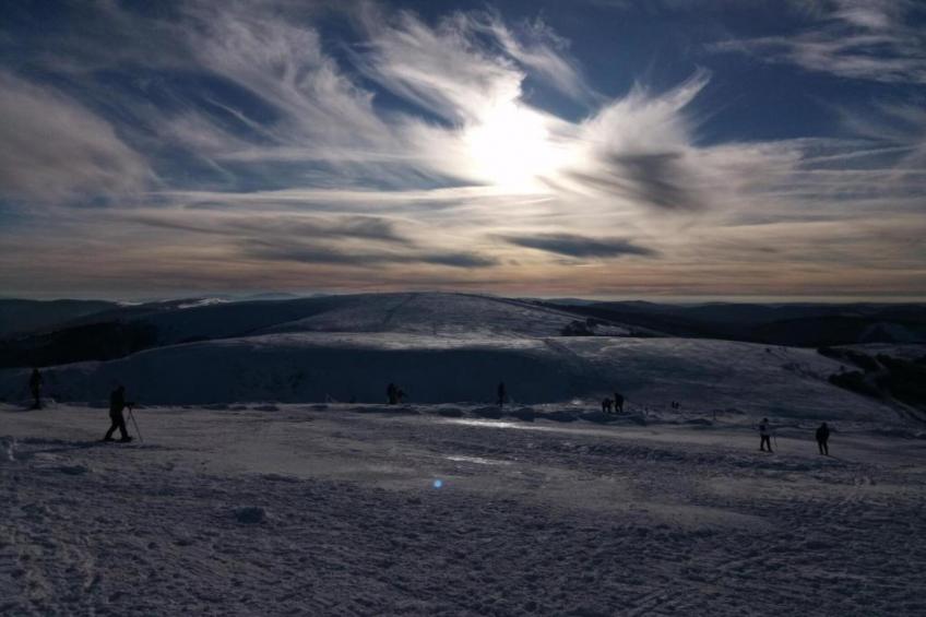 LA POMME DE PIN 2  Appartement avec terrasse - foto 24