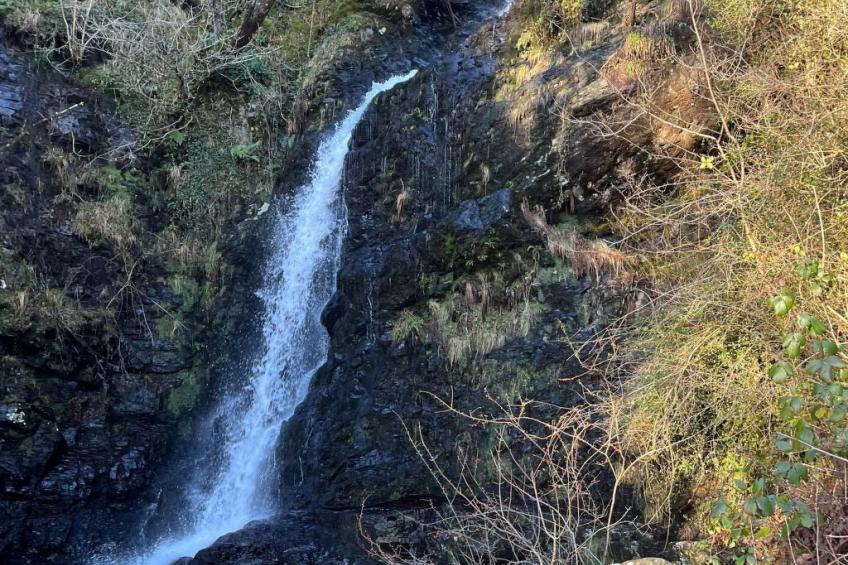 Rockpool Cottage - foto 32