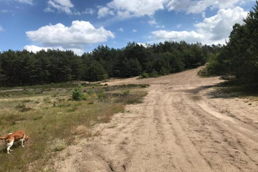 Chalet 'Bosanemoon' - foto 19