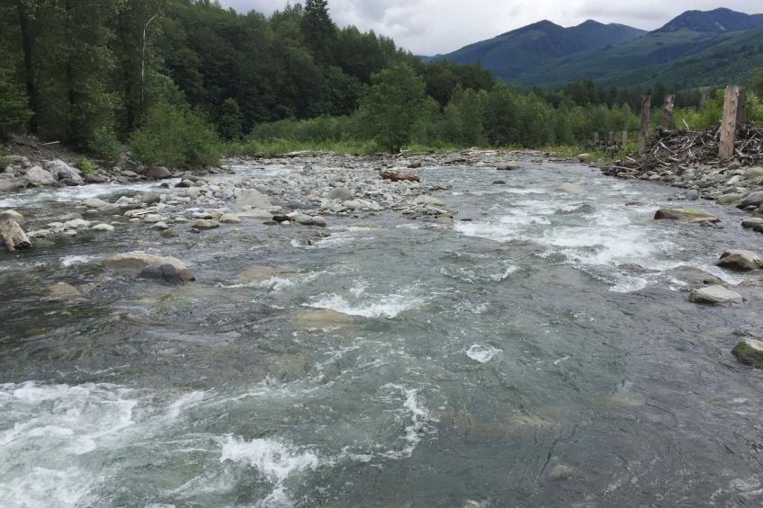 in Deming mit Terrasse - foto 27