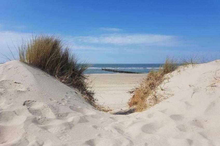 Buitenhof Domburg  16 - foto 39