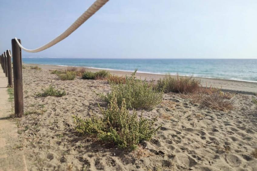 Appartements à San Luis de Sabanillas - foto 12