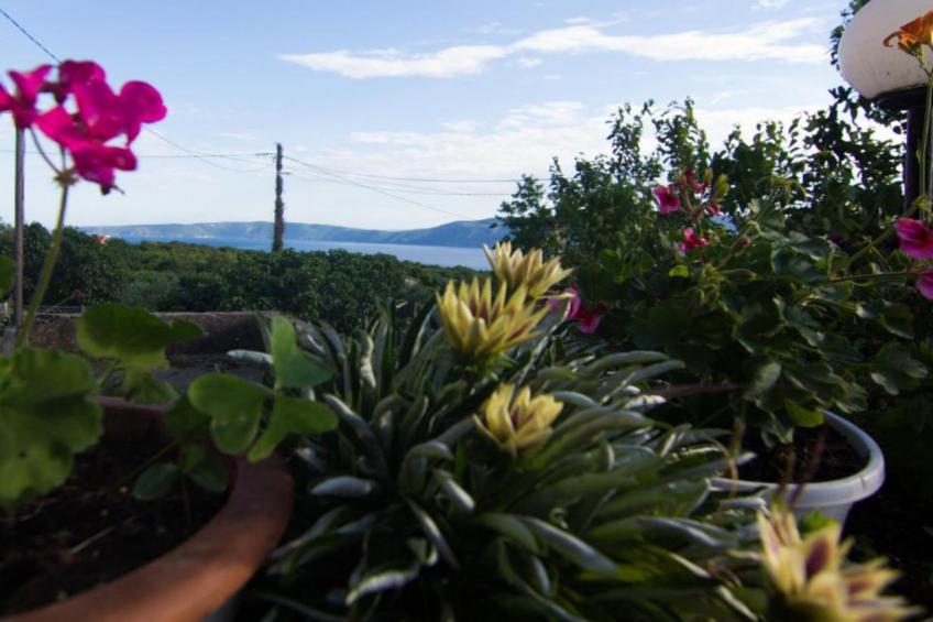 Apartment Magdic - Two Bedroom Apartment with Terrace - foto 17