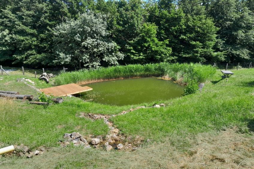 Hidden Authentic Haven Apartments - One Bedroom Apartment with Terrace - foto 29