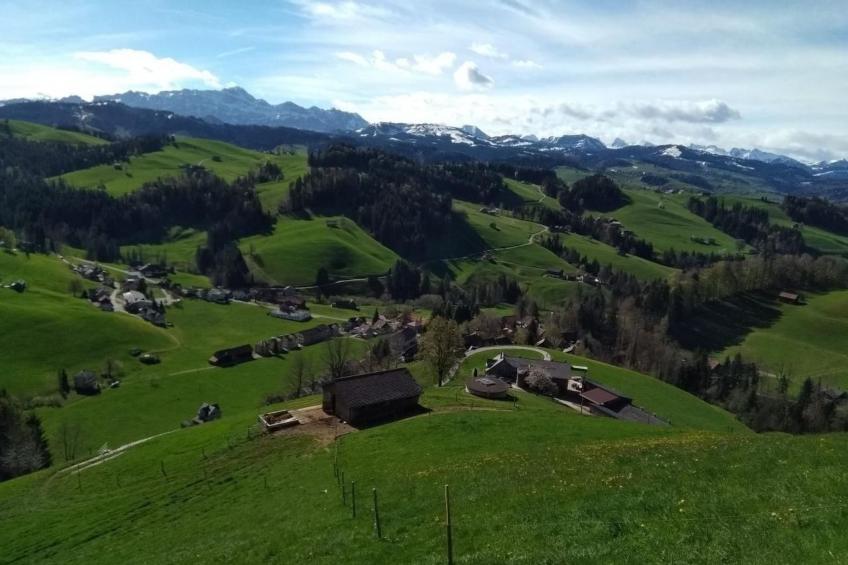 Hasenbüel - foto 31