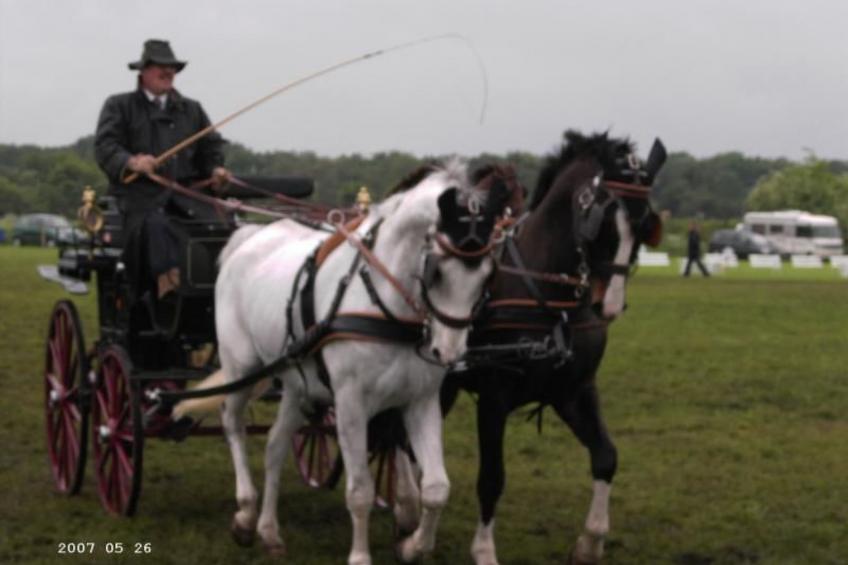 Westrich in guter Ausflugslage - foto 24