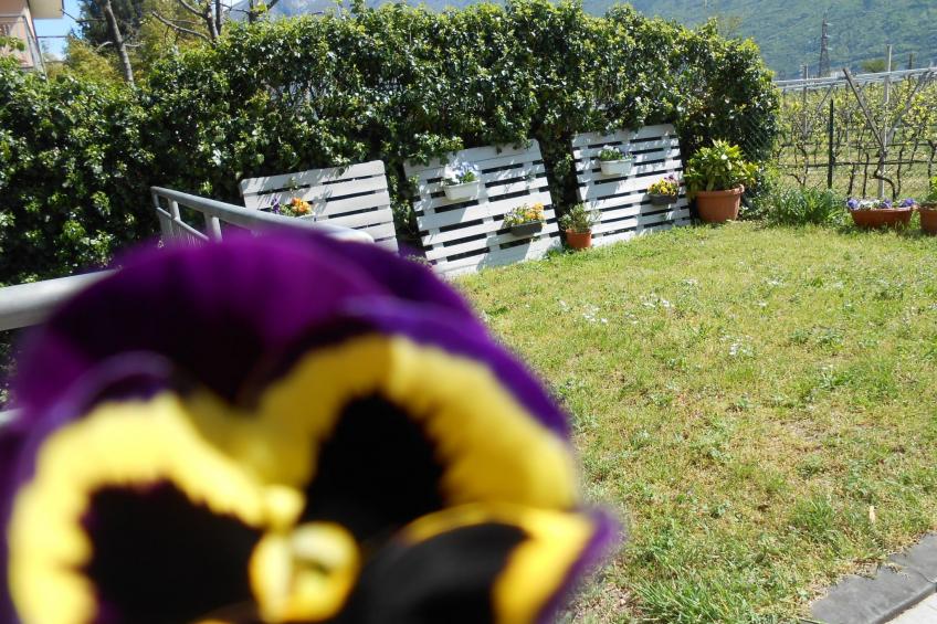 Casa Padronale nähe Arco - foto 3