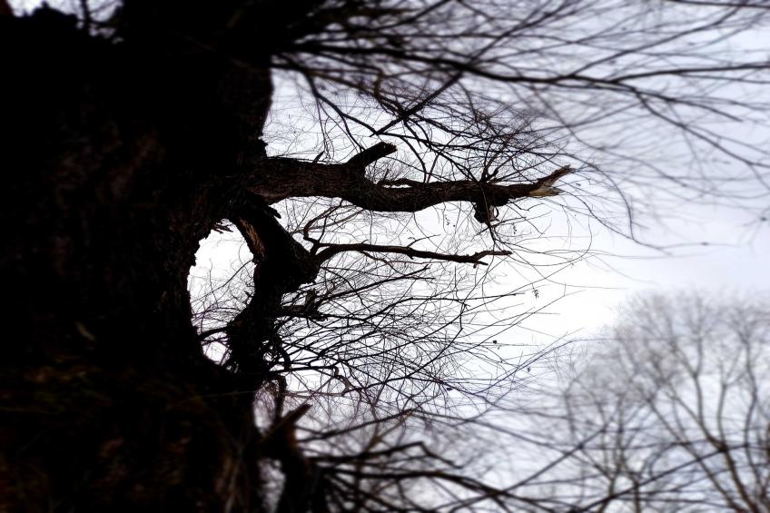 Holiday Home Paunovaca - Two Bedroom Holiday Home - foto 23