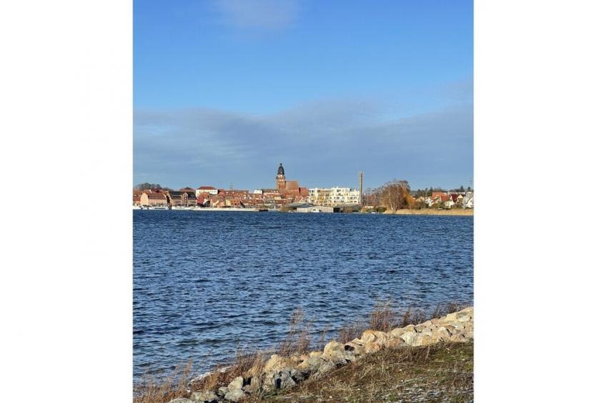541856 - foto 4