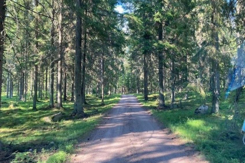 in Tibro mit Kleinem Garten - foto 45