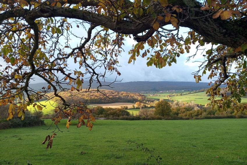 an der Weinstraße von Burgund - foto 21