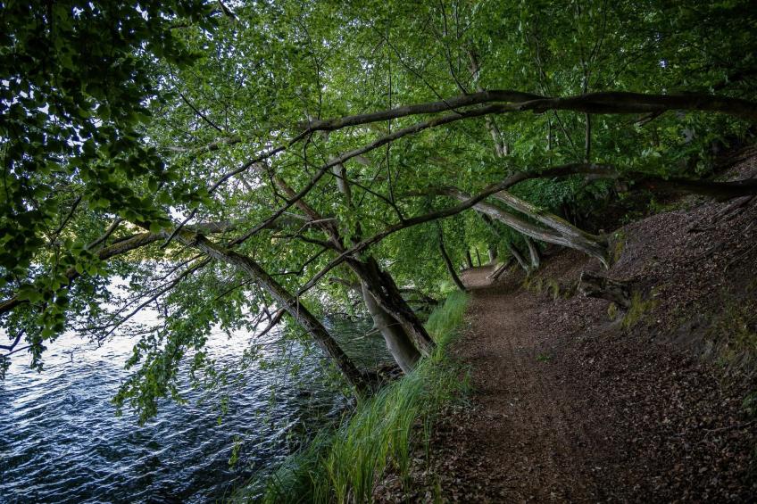 Single Room - foto 27