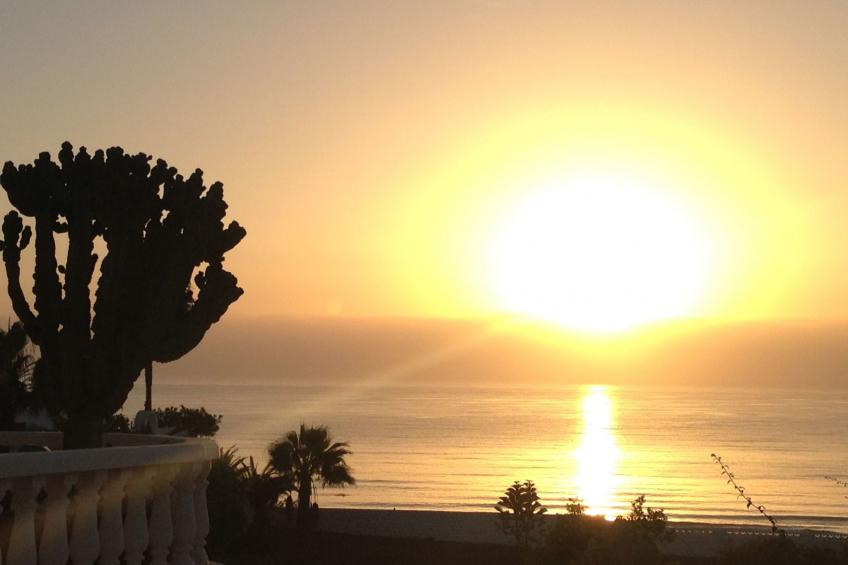 "Jandia" mit Wasserblick - foto 50