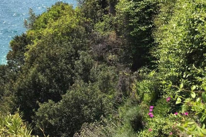 Geräumiges Ferienhaus in Chania mit Meerblick - foto 8