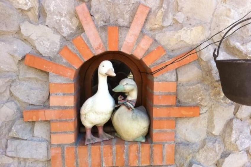 Casa Gingelina - foto 31