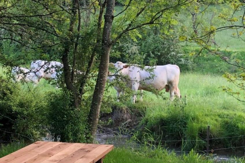 The Water Mill of Tourteron - foto 71