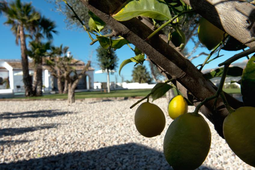 Villa Orlando - foto 14