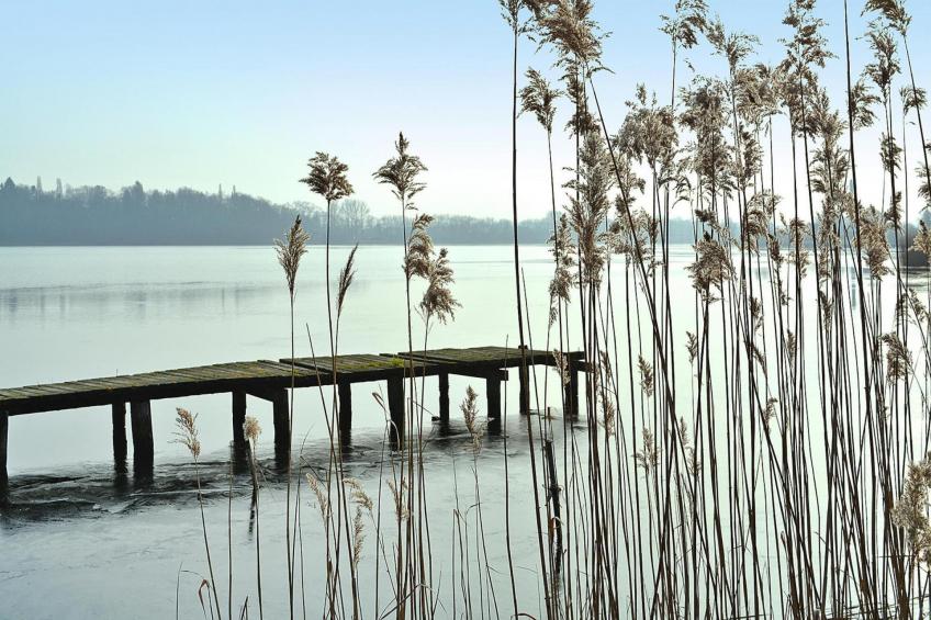 Bungalow , Parchim - foto 9