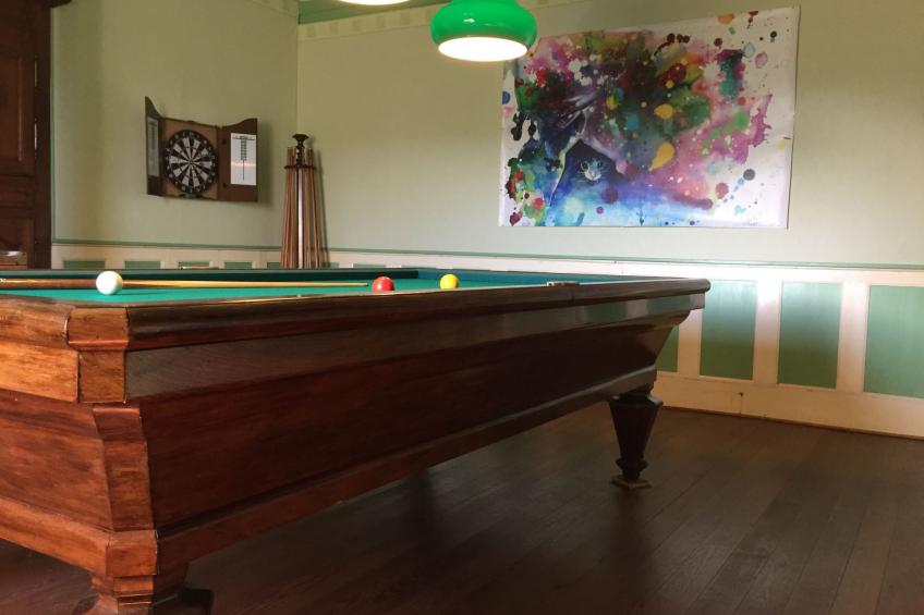 Les deux Unicornes Herrenhaus - foto 6