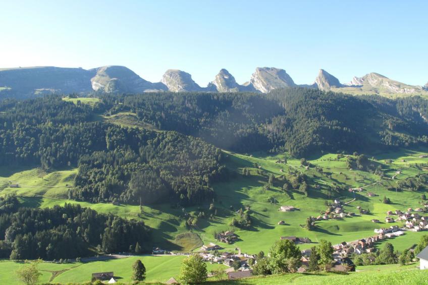Gubel - foto 16