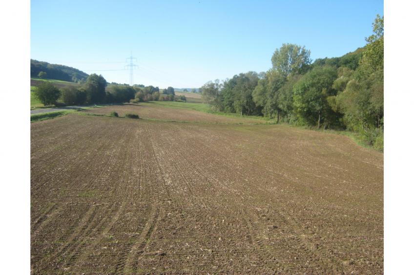 Gästehaus Kühne Fewo 2 DG - foto 12