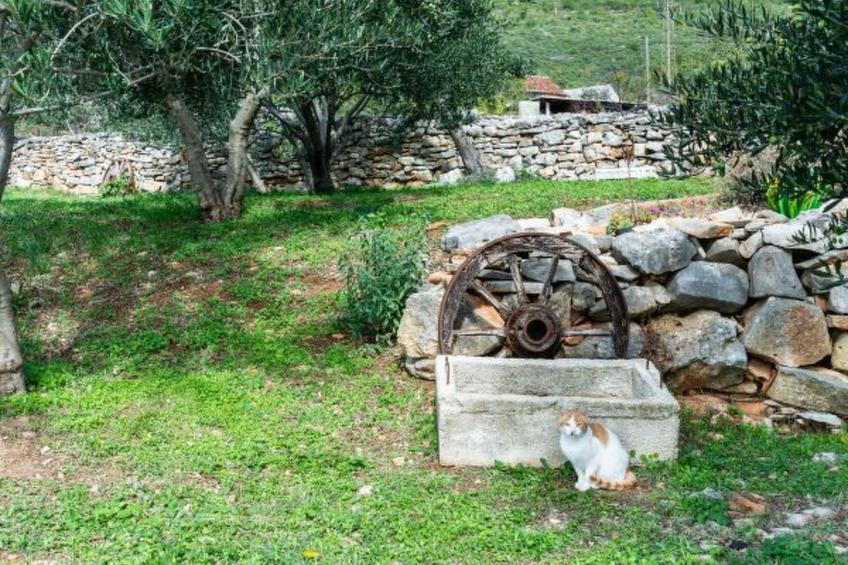 Country House Irena with pool - foto 26