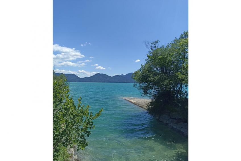 247232 - foto 17