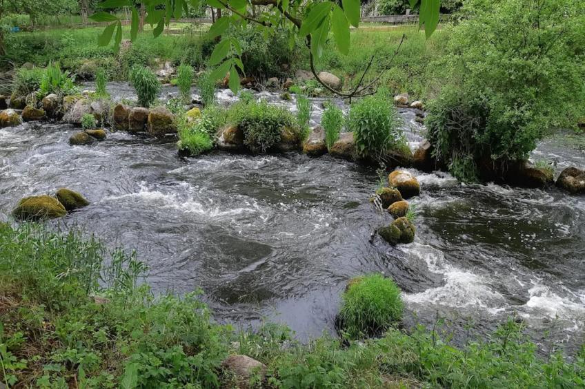 Ferienwohnung Weitblick - foto 28