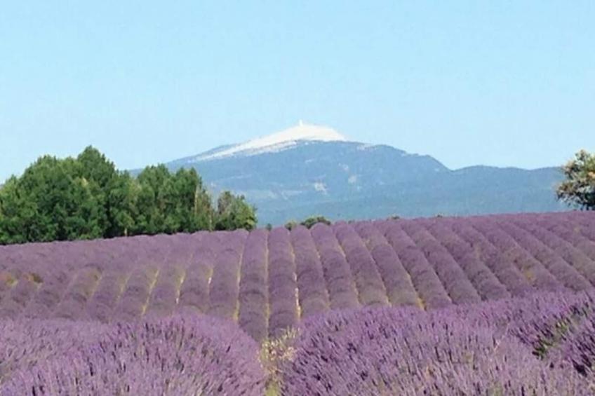 Mas La Miellerie | Charme Authentique Et Nature - foto 73