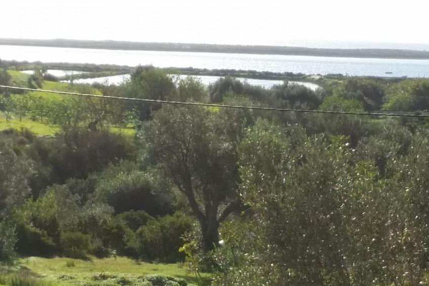 Casinha Lena - foto 17