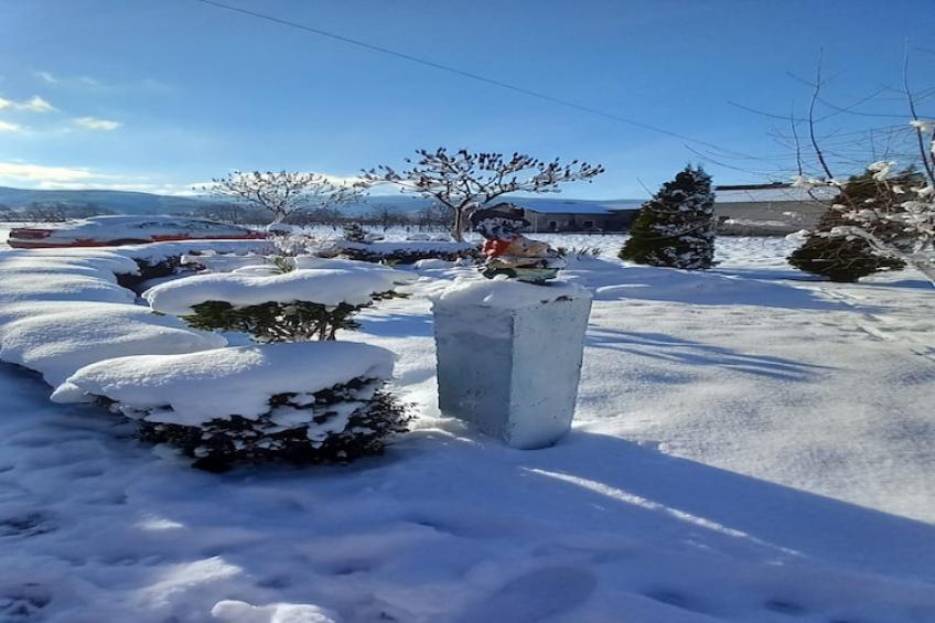 Holiday Home Kim - Three Bedroom Holiday Home with Swimming Pool - foto 15