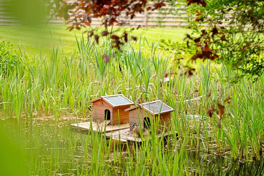 The Old Rectory - foto 29