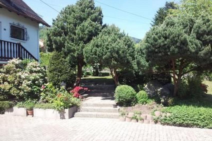 Bellevue mit Große Garten - foto 5