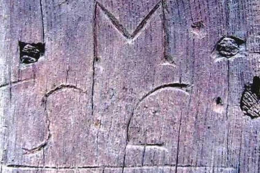 Gite "Sonneblüem un Pfefferminz" - foto 14