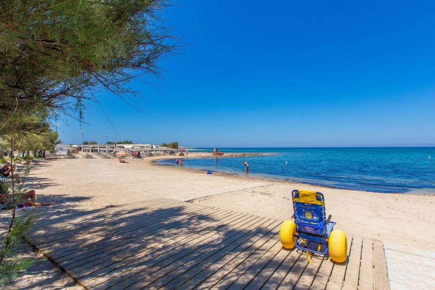 Flaches Meer aus Kiefernholz - foto 22