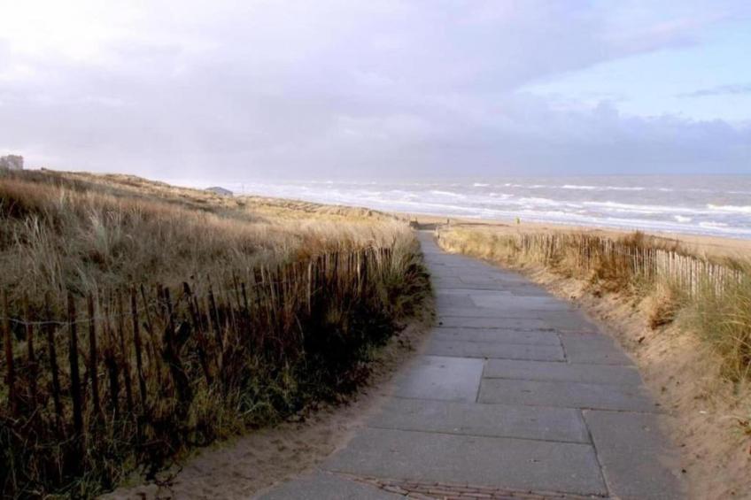 Vakantiepark Duinrust 3 - foto 34